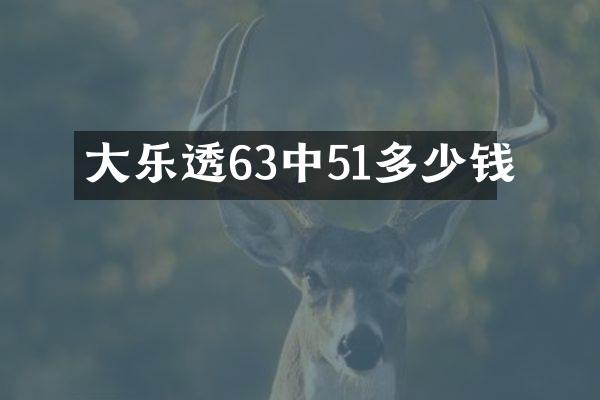 大乐透63中51多少钱