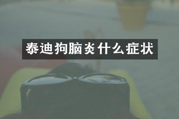 泰迪狗脑炎什么症状