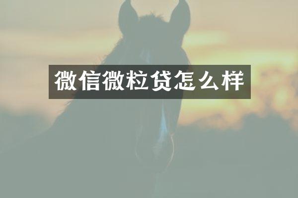 微信微粒贷怎么样