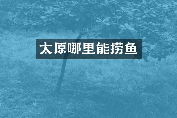 太原哪里能捞鱼