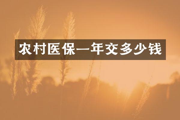 农村医保一年交多少钱