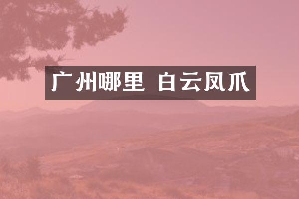 广州哪里 白云凤爪