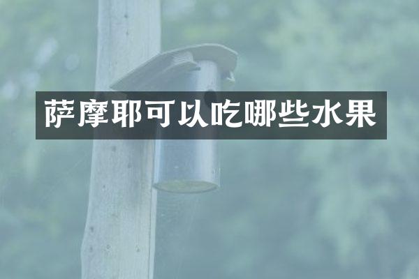 萨摩耶可以吃哪些水果