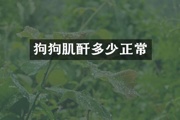 狗狗肌酐多少正常