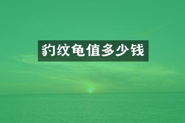 豹纹龟值多少钱