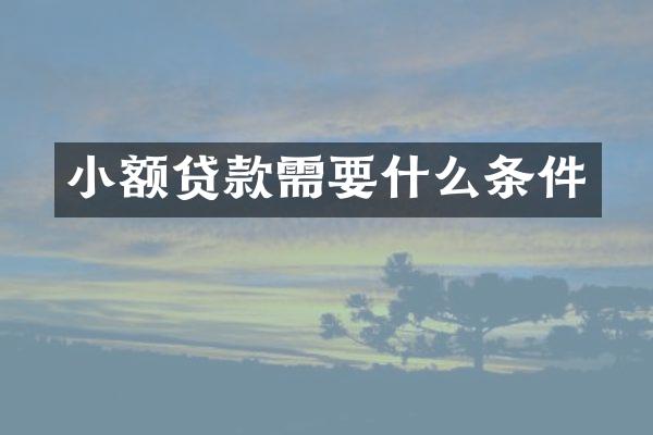 小额贷款需要什么条件