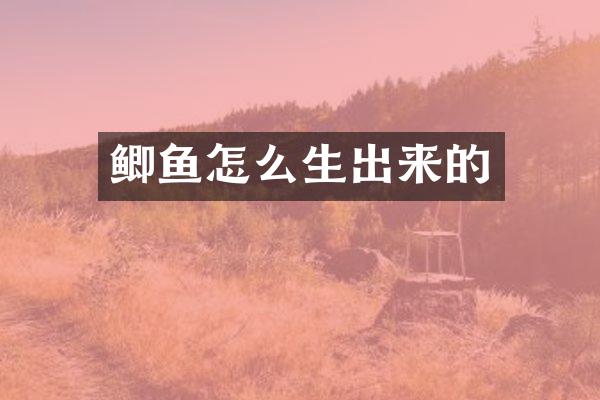 鲫鱼怎么生出来的