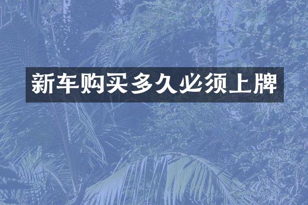 新车购买多久必须上牌