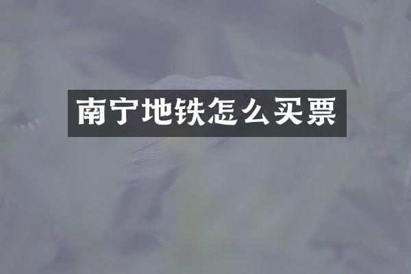 南宁地铁怎么买票