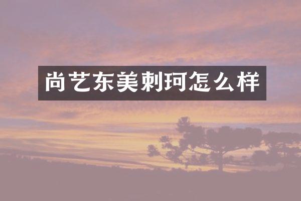 尚艺东美刺珂怎么样