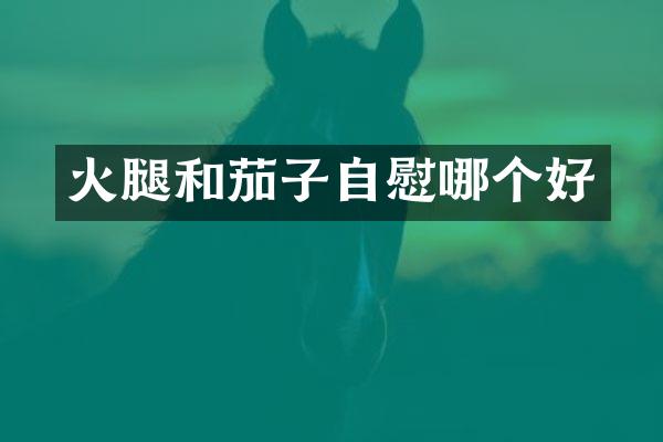 火腿和茄子自慰哪个好