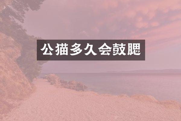 公猫多久会鼓腮