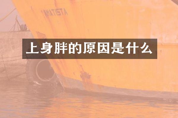 上身胖的原因是什么