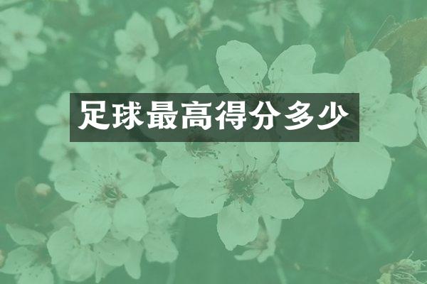 足球最高得分多少