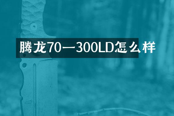 腾龙70一300LD怎么样