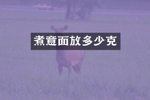 煮意面放多少克