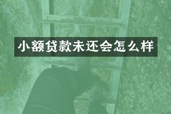 小额贷款未还会怎么样