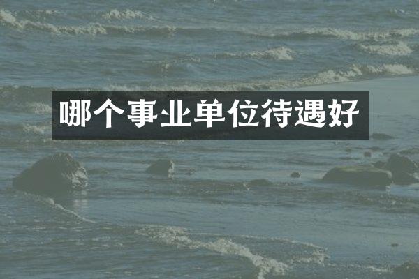 哪个事业单位待遇好