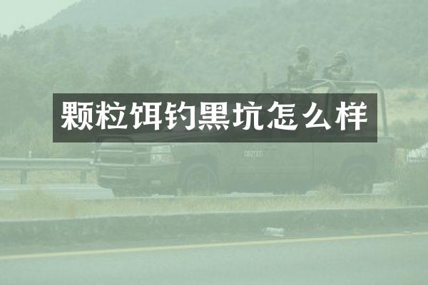 颗粒饵钓黑坑怎么样