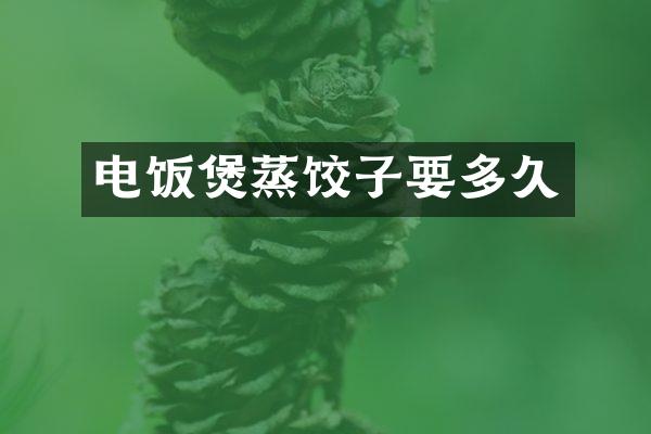 电饭煲蒸饺子要多久