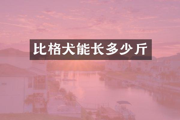 比格犬能长多少斤