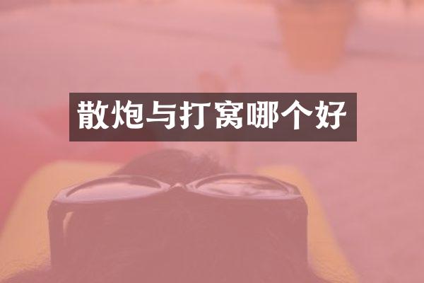 散炮与打窝哪个好