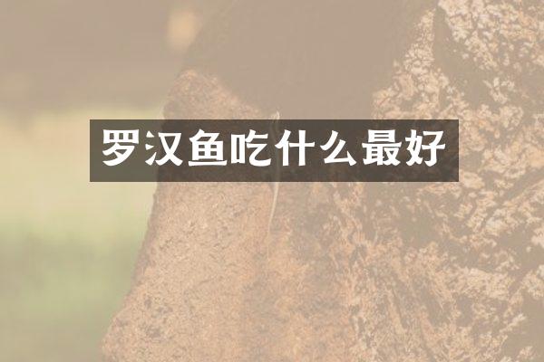 罗汉鱼吃什么最好