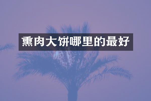 熏肉大饼哪里的最好