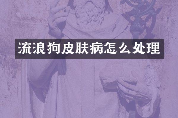 流浪狗皮肤病怎么处理