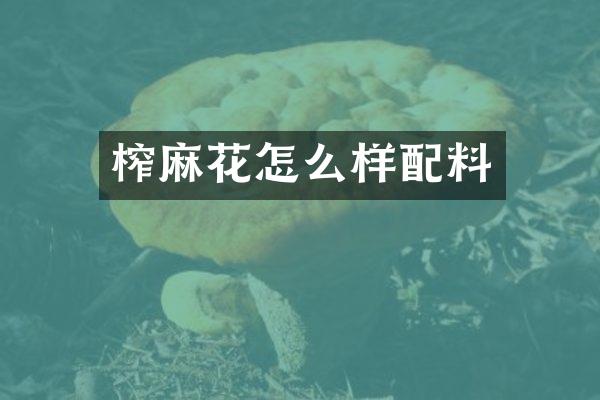 榨麻花怎么样配料