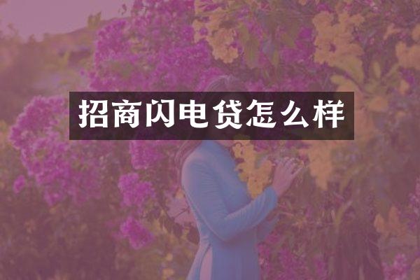 招商闪电贷怎么样