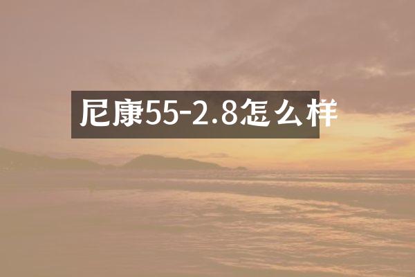 尼康55-2.8怎么样