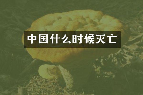 中国什么时候灭亡