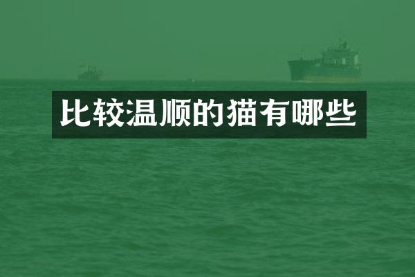 比较温顺的猫有哪些