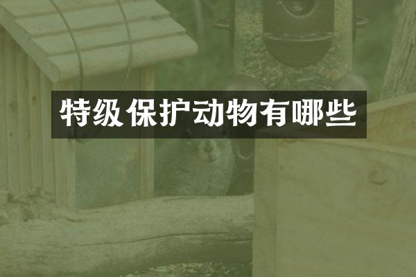 特级保护动物有哪些