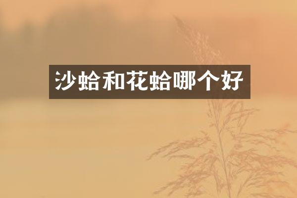 沙蛤和花蛤哪个好