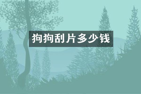 狗狗刮片多少钱