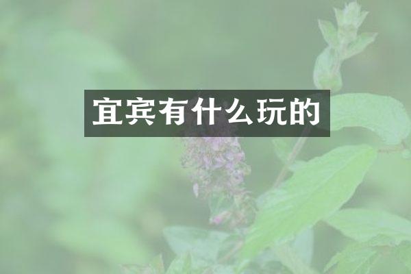 宜宾有什么玩的