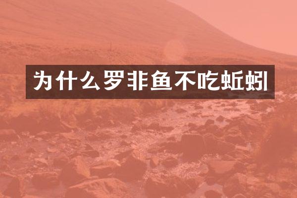 为什么罗非鱼不吃蚯蚓