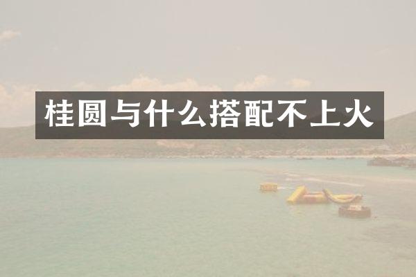 桂圆与什么搭配不上火