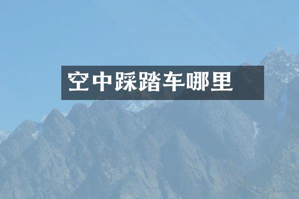 空中踩踏车廋哪里