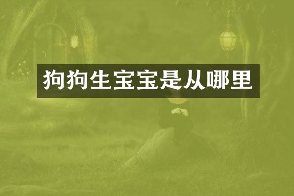 狗狗生宝宝是从哪里