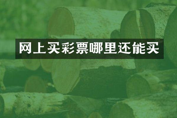 网上买彩票哪里还能买