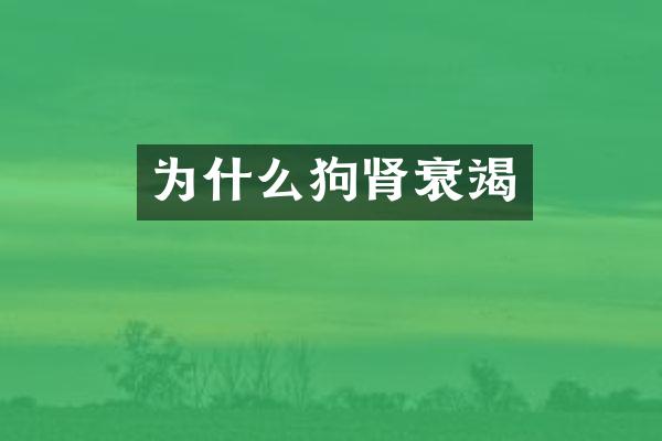 为什么狗肾衰竭