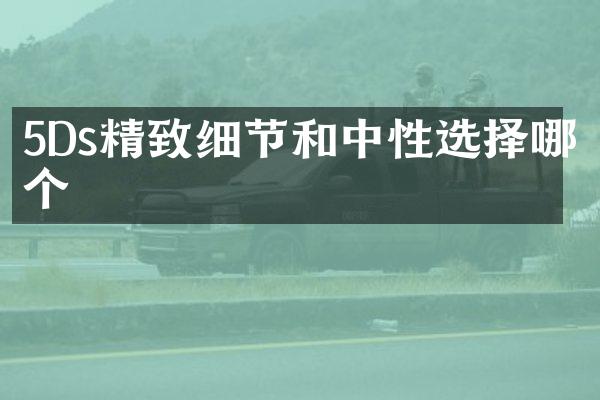 5Ds精致细节和中性选择哪个