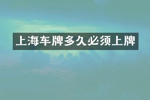 上海车牌多久必须上牌