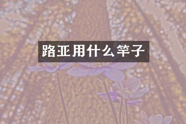 路亚用什么竿子