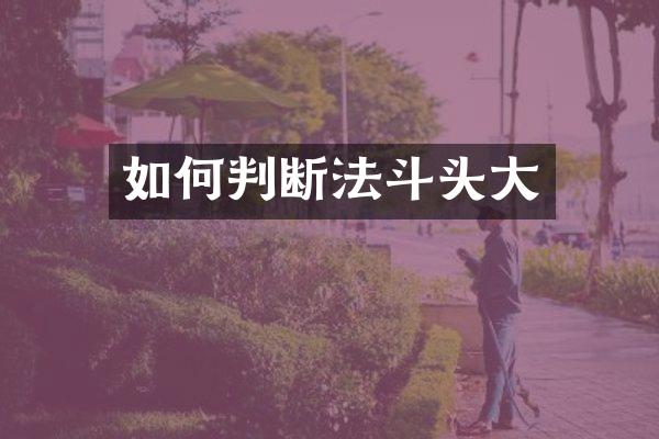 如何判断法斗头大