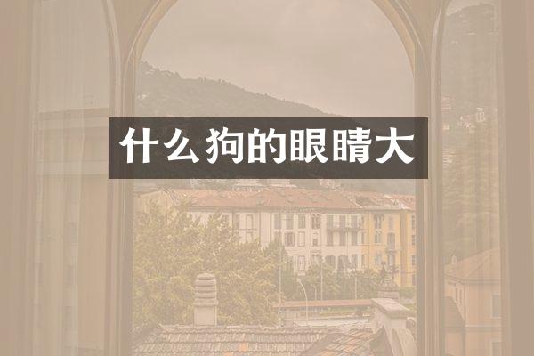 什么狗的眼睛大