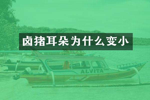 卤猪耳朵为什么变小